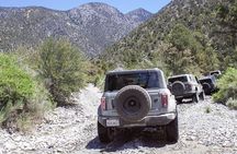 Las Vegas Guided Off-Road Adventure to Callville Wash