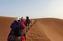 3 Day Group Tour From Marrakech To Fes Via Merzouga Desert Dunes 