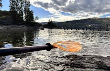 Flathead Lake Somers Bay Tour