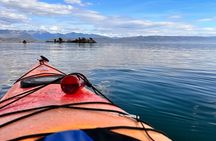 Flathead Lake Somers Bay Tour