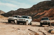 Las Vegas Guided Off-Road Adventure to Callville Wash