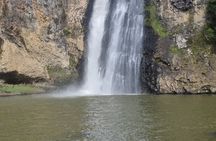 Auckland Town and Country Delights Tour