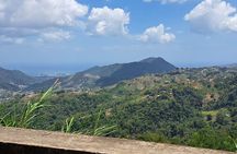 Personalized Private Tour The Paramin Hills