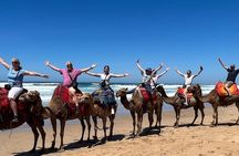 4-hour Private Tour of Tangier 