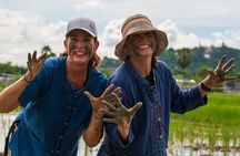 Plough to Plate: Be A Rice Farmer in Phetchaburi from Hua Hin