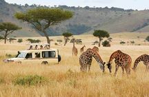 2 Nights 3 Days Tour to Tsavo East and Tsavo West National Park