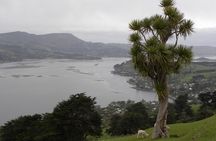 Otago Peninsula Tour and Larnach Castle City Sights (min 4 )