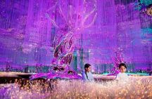 Dubai Frame , Aya Universe and Museum of Illusion Tour