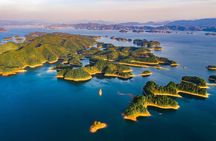 From Shanghai: Hangzhou Private Day Trip by Bullet Train 