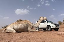 10D 9N Private Morocco Tour From Casablanca By Imperial Cities 