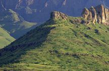 Tala Game reserve, Natal lion Park and Phezulu from Durban Tour