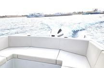 Red Sea: Orange Island Speedboat Full Day Tour with Lunch