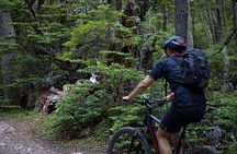 Assisted Bicycle Experience to the Beagle Channel Viewpoint
