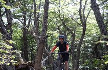 Beban Waterfall Assisted Bike Experience