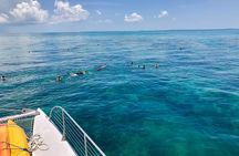 Key West Morning Snorkel Sail with Mimosas and Gourmet Breakfast