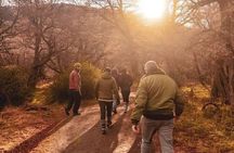 El Chalten guided tour from El Calafate 