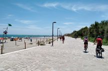 Albufera Highlights Loop Bike Tour with Boat Trip & Paella