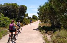 Albufera Highlights Loop Bike Tour with Boat Trip & Paella