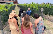 3 or 5 Course Menu + Wine Pairing + Tour @Local Winery