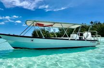Half Day / Private Lagoon Adventure in Mo'orea