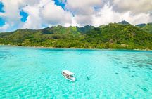 Half Day / Private Lagoon Adventure in Mo'orea