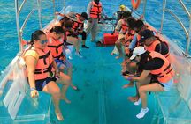 Crystal Clear Boat Tour in Los Cabos