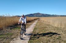 Cycling Private Tour in the Little Venice and Sagunto Castle