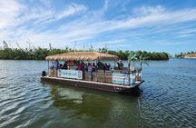 Ft Myers Beach Tiki Pub Fun in the Sun Dolphin Cruise