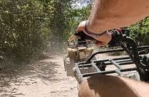 Half-day Adventure: Cenote + Ziplining + ATV Tour