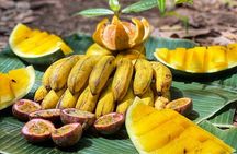 2 Days and 1 Night Ethical Jungle Trek