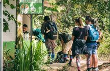 2 Days and 1 Night Ethical Jungle Trek