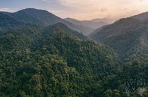 2 Days and 1 Night Ethical Jungle Trek