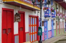 Private Tour to Salento, Cocora Valley and Philandia