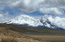 Private Tour to spotting condors at Antisana volcano all included
