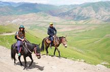 3 Day Horse Tracking to Song Kul Small Group Tour