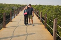 Private Tour to Zubara Fort Purple Island and Olafur Eliasson