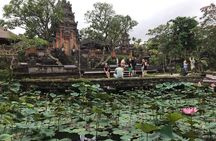  Ubud Shopping, Water Palace and Water fall Tours.