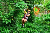 Buggy, Horse and Zip Line with Lunch included from Punta Cana