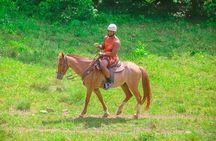 Buggy, Horse and Zip Line with Lunch included from Punta Cana