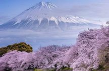 Mt. Fuji and Hakone Private Tour with English Speaking Driver
