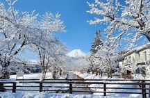 Mt. Fuji and Hakone Private Tour with English Speaking Driver