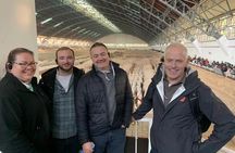 Private tour to Xian Terracotta army tour can choose guide option