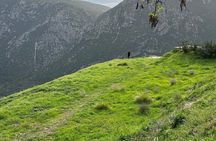 Delphi and Osios Loukas Byzantine Monastery