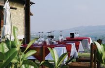 Visit winery and vineyards, tasting 4 wines with 3 matching dishes