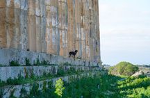 Ebike tour, Selinunte