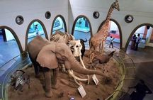  Nairobi National Museum, Karen Blixen &Bomas Cultural Dance Tour