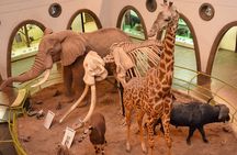 Day Tour to Nairobi Arboretum and Nairobi National Museum