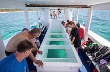 Medulin: Private Glass Bottom Boat Tour to Levan Island
