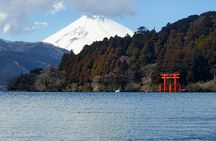 Hakone Full-Day Private Tour from Tokyo (Customizable)