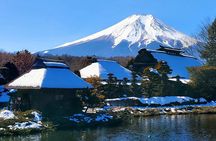 Guided Private Mt. Fuji and Hakone Tour GREEN NUMBER PLATES